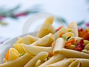 Italian pasta close-up