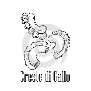 Italian pasta Creste di Gallo. Hand drawn sketch style illustration of traditional italian food. Best for menu designs and packagi