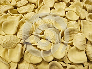 Italian Pasta Hand Made Orecchiette