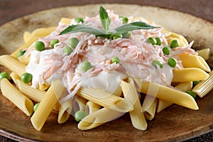 Italian pasta macaroni with ham and cheese cream