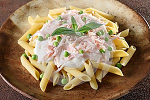 Italian pasta macaroni with ham and cheese cream