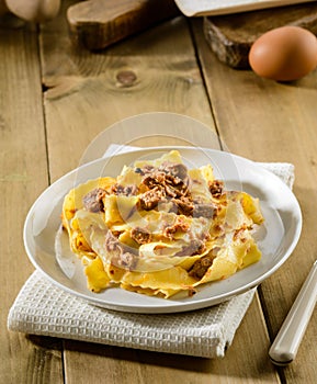 Italian pasta, pappardelle with hare sauce, selectiv focus