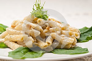 Italian pasta penne gorgonzola and pine nuts