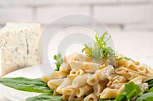 Italian pasta penne gorgonzola and pine nuts