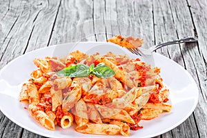 Italian Pasta Penne with Sun-Dried Tomato Pesto, close-up