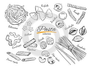 Italian Pasta set. Different types of pasta. Vector hand drawn illustration. Isolated objects on white