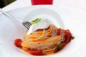 Italian pasta - spaghetti with mozzarella cheese closeup, mediterranean diet