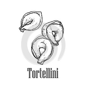 Italian pasta tortellini. Hand drawn sketch style illustration of traditional italian food. Best for menu designs and packaging. V