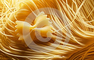 Italian pasta vermicelli close-up. Food background. photo