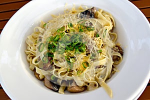 The Italian paste with mushrooms in creamy sauce - tagliatelle.