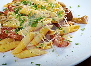 Italian Penne rigate pasta with
