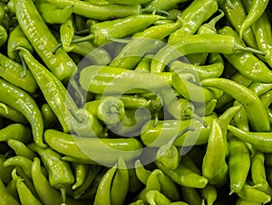 Italian pepper photo