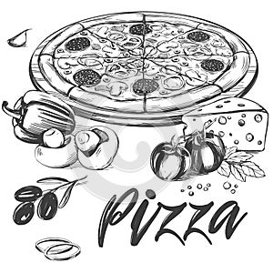 Italian pizza , collection of pizza with ingredients, logo, hand drawn vector illustration realistic sketch