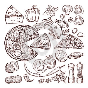 Italian pizza with different ingredients. Vector doodle set