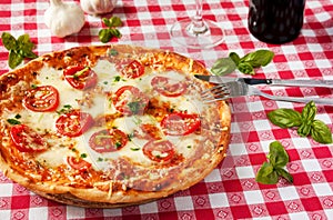 Italian Pizza Margherita