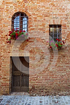 Italian potted plants grown in terra cotta containers