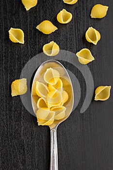 italian raw conchiglie paste shells dry on a metallic spoon and an black table