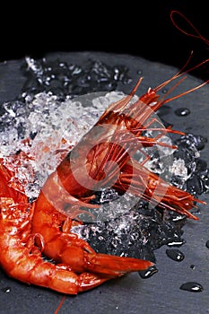 Italian red prawns or shrimps on ice known as gambero rosso photo