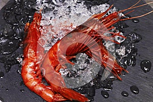 Italian red prawns or shrimps known as gambero rosso photo