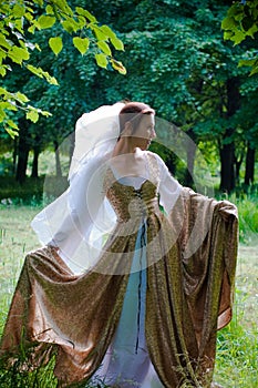 Italian renaissance dress