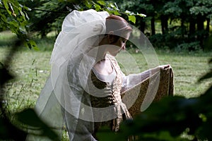 Italian renaissance dress photo