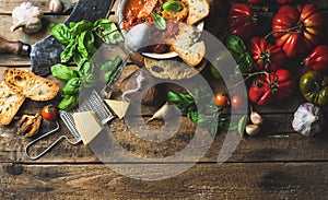 Italian roasted tomato and garlic soup in bowl, copy space