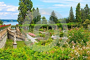 Italian rose garden on the island of flowers Mainau on Lake Constance, Germany