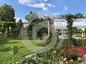 Italian Rose Garden or Italienscher Rosengarten Flower Island Mainau on the Lake Constance or Die Blumeninsel im Bodensee