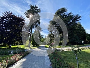 Italian Rose Garden or Italienscher Rosengarten - Flower Island Mainau on the Lake Constance or Die Blumeninsel im Bodensee