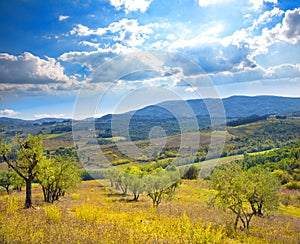 Italian rural landscape