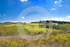 Italian rural landscape