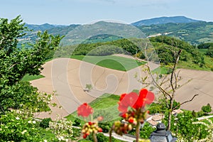 Italian rural landscape with one tree and its shadow in middle of ploughed field