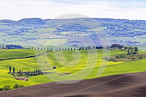 Italian rural landscape in spring