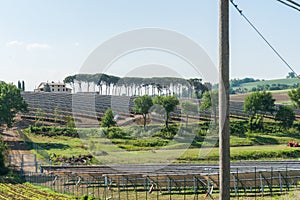 Italian rural landscape wide angle image