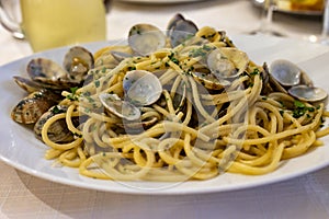 Italian sea food dinner first course pasta with clams alle vongole