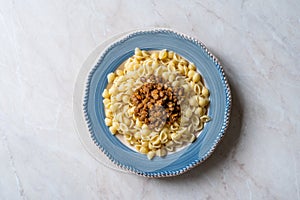 Italian Shell Pasta with Lentil Stew Bolognese