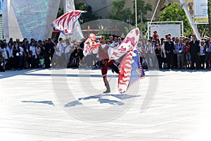 Italian show Milan,milano expo 2015