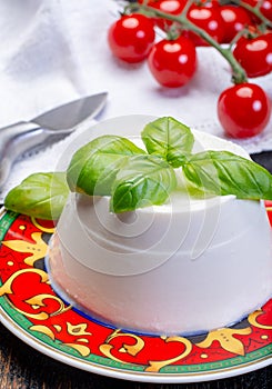 Italian soft cheese, young white ricotta cheese served with fresh basil and tasty ripe cherry tomatoes