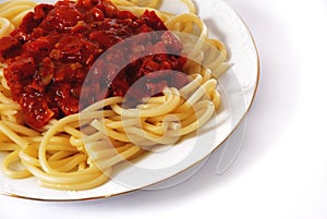 Italian spagetti photo