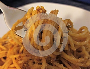 Spaghetti bolognese with cheese on a fork, close up.