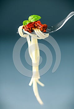 Italian spaghetti on a fork