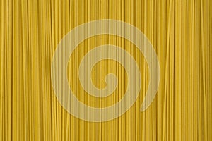 Italian spaguetti pasta