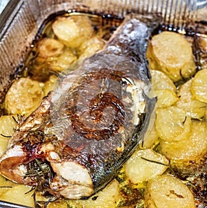 Italian  Sparus aurata fish cooked with potatoes