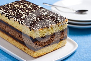 Italian sponge cake