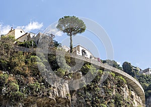 Italian stone pine and small church atop hill Positano