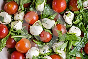 Italian style tomato and mozzarella salad in rustic bowl