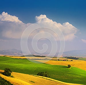 Italian summer countryside landscape â€“ golden and green fields and blue sky
