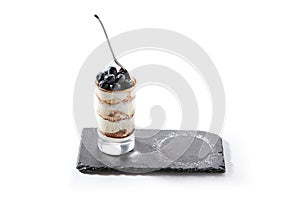 Italian Tiramisu Dessert in High Glass with Blueberries Isolated