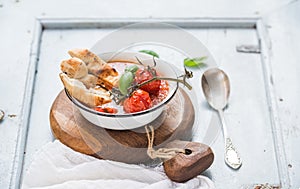 Italian tomato, garlic and basil soup Pappa al Pomodoro in metal bowl with bread on rustic wooden board over light blue