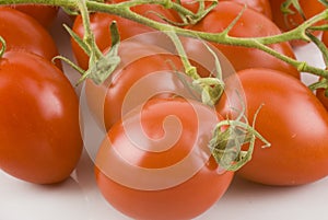 Italian tomatoes on the vine